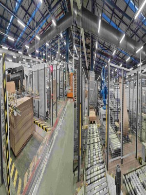 Automatic carton loading machine 